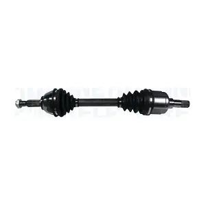MAGNETI MARELLI 302004190055