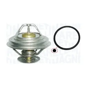 352317101160 MAGNETI MARELLI