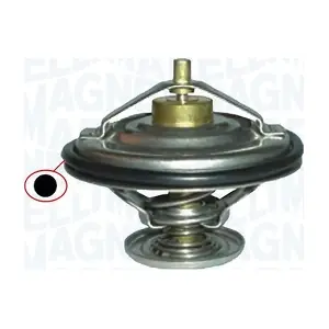 352317000120 MAGNETI MARELLI