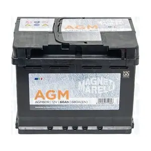 MAGNETI MARELLI 069060680009