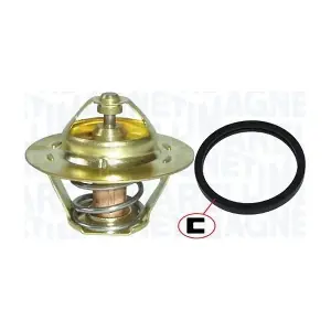 MAGNETI MARELLI 352317101010