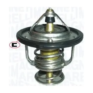 352317100750 MAGNETI MARELLI