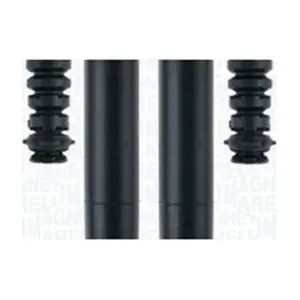 MAGNETI MARELLI 310116110160