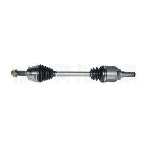 302004190385 MAGNETI MARELLI