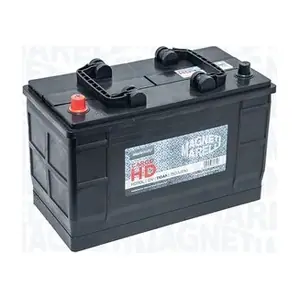 069110750012 MAGNETI MARELLI
