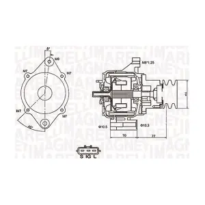 MAGNETI MARELLI 063731367010