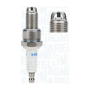 MAGNETI MARELLI 062709000025