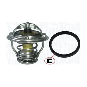 MAGNETI MARELLI 352317100830