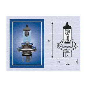 MAGNETI MARELLI 002176100000