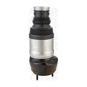 350030000002 MAGNETI MARELLI