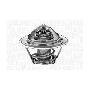 MAGNETI MARELLI 352020029100