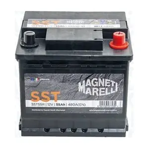 069055480009 MAGNETI MARELLI