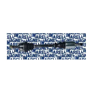 MAGNETI MARELLI 302004190043