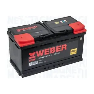 MAGNETI MARELLI 067095850003