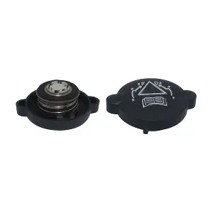 MAGNETI MARELLI 359001603100