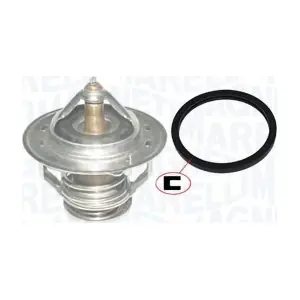 MAGNETI MARELLI 352317100540