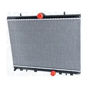 MAGNETI MARELLI 350213219000