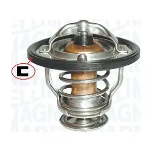 MAGNETI MARELLI 352317000810