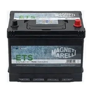 MAGNETI MARELLI 069070540006