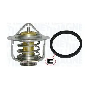 MAGNETI MARELLI 352317100930