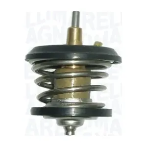 MAGNETI MARELLI 352317102160