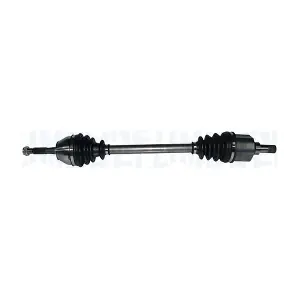 MAGNETI MARELLI 302004190374