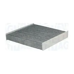 MAGNETI MARELLI 350203066301