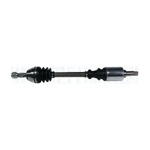 MAGNETI MARELLI 302004190141