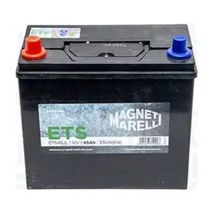 069045330116 MAGNETI MARELLI