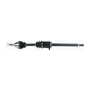 302004190324 MAGNETI MARELLI