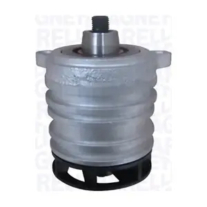 352316171197 MAGNETI MARELLI