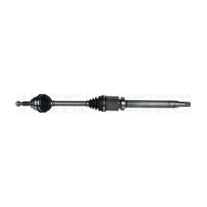 MAGNETI MARELLI 302004190056