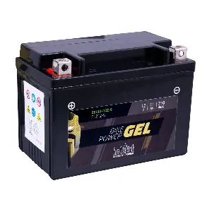 GEL12-12Z-S IntAct