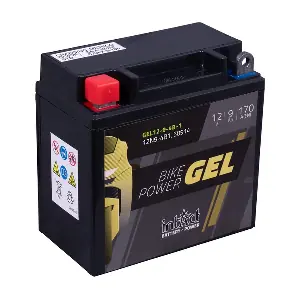 IntAct GEL12-9-4B-1