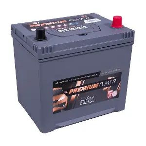IntAct PP65MF-ASIA
