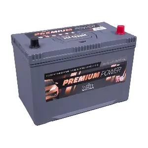 IntAct PP95MF-0-ASIA