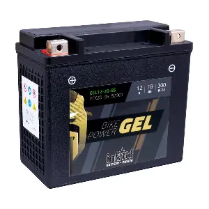 GEL12-20-BS IntAct