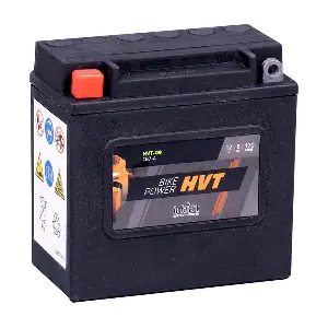 IntAct HVT-09