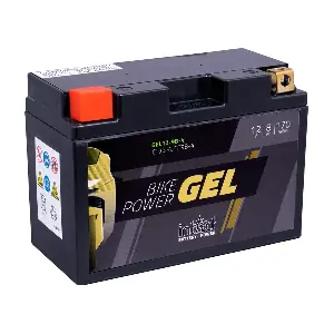 GEL12-9B-4 IntAct