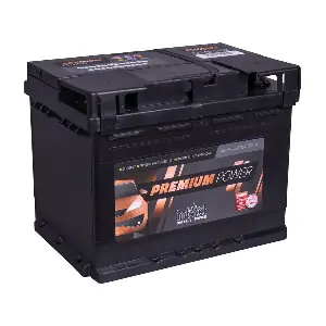 IntAct PP65MF