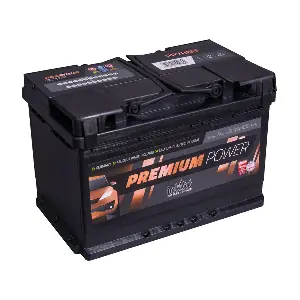IntAct PP78MF